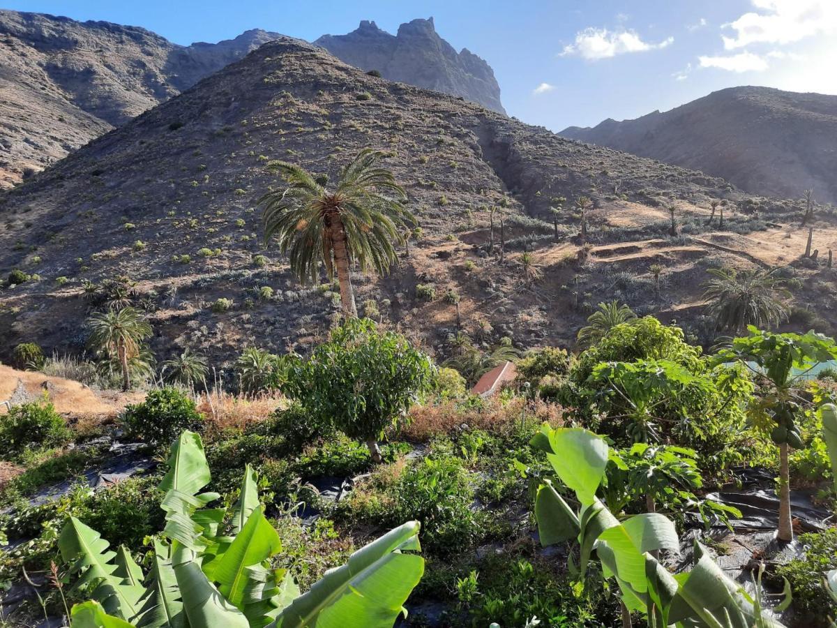 Casa Rural La Vega Alojera 外观 照片