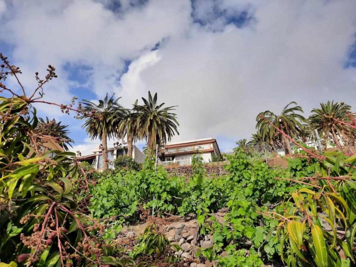 Casa Rural La Vega Alojera 外观 照片