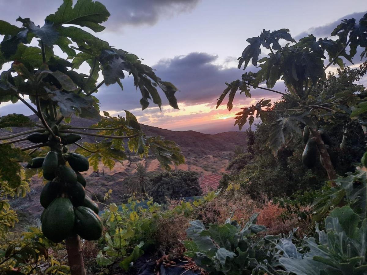 Casa Rural La Vega Alojera 外观 照片