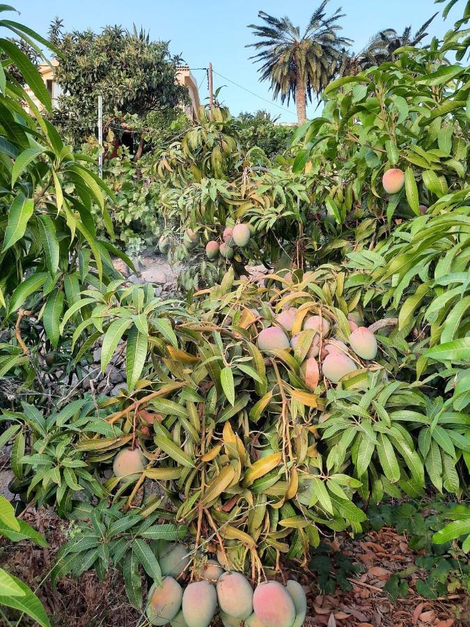 Casa Rural La Vega Alojera 外观 照片